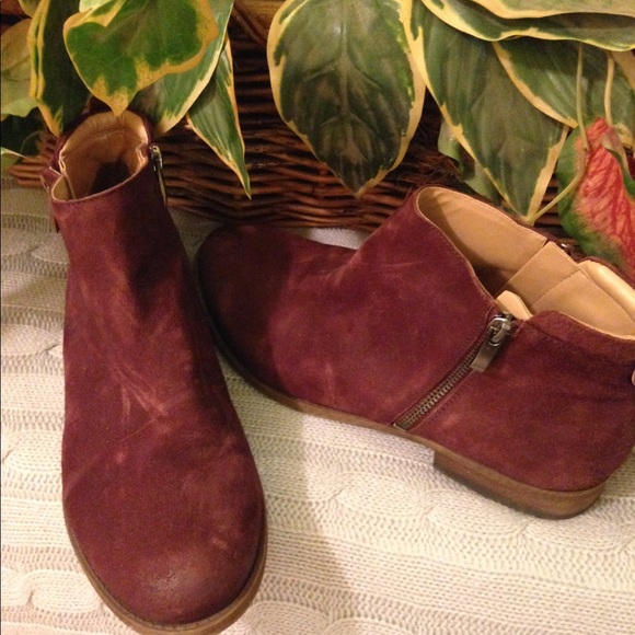 Franco Sarto - Picture 2 of 7